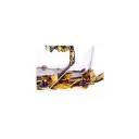 thumbnail - 2025-09-08T173711.053.webp
