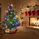 thumbnail (71).webp